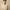 https://res.cloudinary.com/billionhands/image/upload/v1778568099/items/xsxmbzcmxk7xh8umcfqd.webp-0cover