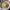 https://res.cloudinary.com/billionhands/image/upload/v1778570411/items/nmntygqpvigi0hltuuaf.jpg-3cover
