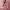 https://res.cloudinary.com/billionhands/image/upload/v1778570528/items/ecan7sdkmkzqwvkdijlu.avif-0cover