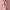 https://res.cloudinary.com/billionhands/image/upload/v1778570531/items/hizqja4ihstvlcf3owvu.avif-1cover