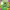https://res.cloudinary.com/billionhands/image/upload/v1778574676/items/u4ukymdeukvm7gxiipqj.jpg-2cover