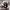 https://res.cloudinary.com/billionhands/image/upload/v1778575390/items/zqvkjegc5n8h7gdwbyk6.jpg-1cover