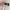 https://res.cloudinary.com/billionhands/image/upload/v1778579072/items/ys583yyjsrxrfwh2wokh.jpg-3cover