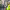 https://res.cloudinary.com/billionhands/image/upload/v1778579082/items/ujtsdj9s4hnnmshn6x5u.jpg-0cover