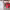 https://res.cloudinary.com/billionhands/image/upload/v1778585805/items/x1xszrunghkg3nkva7b7.jpg-3cover