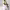 https://res.cloudinary.com/billionhands/image/upload/v1778586469/items/lodyokiwu4snnlqsypcq.webp-1cover