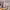 https://res.cloudinary.com/billionhands/image/upload/v1778589417/items/hpy4qu7ijegqer4dohy7.webp-2cover