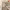 https://res.cloudinary.com/billionhands/image/upload/v1778589420/items/xycalsn87aagvwfrfb6e.webp-0cover