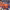 https://res.cloudinary.com/billionhands/image/upload/v1778594515/items/vq1qlc5kus7m8aecca15.jpg-1cover