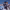 https://res.cloudinary.com/billionhands/image/upload/v1778600660/items/elaxtuzaquwliran4pgl.webp-0cover