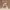 https://res.cloudinary.com/billionhands/image/upload/v1778600681/items/fulbjulubqcpcabckm6f.jpg-0cover