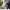 https://res.cloudinary.com/billionhands/image/upload/v1778604086/items/pkvrfgj54ylscx3odgse.webp-1cover