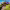 https://res.cloudinary.com/billionhands/image/upload/v1778604359/items/nrxujt7padzwglkaexxo.jpg-2cover