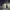 https://res.cloudinary.com/billionhands/image/upload/v1778607874/items/szxxii5h0oelx2adqjna.jpg-1cover
