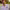 https://res.cloudinary.com/billionhands/image/upload/v1778608553/items/wgyt32x9gqm1ndxfual4.avif-0cover