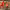 https://res.cloudinary.com/billionhands/image/upload/v1778608766/items/ypk1lg3p5dej8js3dkfn.jpg-3cover
