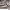 https://res.cloudinary.com/billionhands/image/upload/v1778616110/items/ofj9bhfsg7mzgov3z0gd.png-2cover