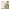 https://res.cloudinary.com/billionhands/image/upload/v1778616161/items/e5zjpaclnnmmcch4q6ab.webp-2cover