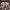 https://res.cloudinary.com/billionhands/image/upload/v1778616618/items/je766pr8unyxqseodwf8.jpg-0cover