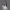 https://res.cloudinary.com/billionhands/image/upload/v1778618003/items/b5c2vo0syksf2tkuhj7g.jpg-0cover
