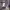 https://res.cloudinary.com/billionhands/image/upload/v1778626618/items/mcp292ktlzhd3wnkvkdh.jpg-0cover