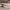 https://res.cloudinary.com/billionhands/image/upload/v1778626928/items/kogfuzttyxrwy7hh4lt0.jpg-2cover