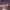 https://res.cloudinary.com/billionhands/image/upload/v1778627282/items/khv5sofmp2hpokjlecvb.jpg-2cover