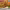 https://res.cloudinary.com/billionhands/image/upload/v1778629705/items/cx1d3jxkqeii1d6c38n1.jpg-0cover
