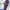 https://res.cloudinary.com/billionhands/image/upload/v1778630042/items/wqonkxtxugeyo91dqtoe.jpg-1cover