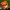https://res.cloudinary.com/billionhands/image/upload/v1778630045/items/h5eyczkvqnvocmo6ezh3.jpg-0cover