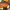 https://res.cloudinary.com/billionhands/image/upload/v1778633205/items/btlcm4xqp3rxtscfthr1.jpg-2cover