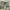 https://res.cloudinary.com/billionhands/image/upload/v1778643933/items/lqaw1v0mbxvy7ukfcrdl.webp-3cover
