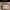 https://res.cloudinary.com/billionhands/image/upload/v1778644098/items/usjrcagxhgv79tmu3169.jpg-3cover