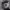 https://res.cloudinary.com/billionhands/image/upload/v1778646811/items/t9wxxt3kggoov18umphs.jpg-1cover