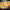 https://res.cloudinary.com/billionhands/image/upload/v1778647454/items/jajov4jyj1sk3nobefza.png-0cover