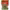 Brussel Bytes — Tamarind Apple cover