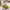 https://res.cloudinary.com/billionhands/image/upload/v1778654903/items/ocxta50sjnxxtb0vrxfk.jpg-0cover