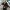 https://res.cloudinary.com/billionhands/image/upload/v1778655379/items/dqjjm58klybjcm4sschv.avif-3cover