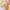 https://res.cloudinary.com/billionhands/image/upload/v1778658986/items/h02k9idsvao2llzzydhc.jpg-3cover