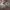 https://res.cloudinary.com/billionhands/image/upload/v1778662379/items/psapsnvcukepyuczwtud.webp-1cover