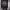https://res.cloudinary.com/billionhands/image/upload/v1778665341/items/ptjek1tkgozlll5uoghq.jpg-1cover