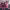 https://res.cloudinary.com/billionhands/image/upload/v1778666185/items/bncsnyyq308za6vugcn0.jpg-2cover