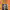 https://res.cloudinary.com/billionhands/image/upload/v1778680826/items/qklljddm3p5ampysj9qz.jpg-0cover