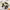 https://res.cloudinary.com/billionhands/image/upload/v1778684734/items/ux53xyfnovxyzvdmqedu.jpg-3cover