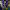 https://res.cloudinary.com/billionhands/image/upload/v1778690472/items/i58zy8wpzu9t0my67rsr.jpg-0cover