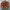 https://res.cloudinary.com/billionhands/image/upload/v1778691287/items/ovqdopldwwm5p4lvunkr.jpg-1cover