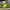 https://res.cloudinary.com/billionhands/image/upload/v1778691305/items/gjt3odxbve2fwhxgkjsr.jpg-2cover