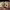 https://res.cloudinary.com/billionhands/image/upload/v1778694582/items/vp5ouibbvgto93tzdvkb.jpg-2cover