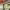 https://res.cloudinary.com/billionhands/image/upload/v1778696048/items/nvl4ufqkpqfxvw2fmxtw.jpg-3cover