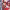 https://res.cloudinary.com/billionhands/image/upload/v1778700869/items/dpcnwkajbpdakuno5ylb.jpg-3cover